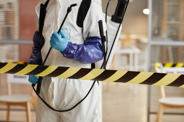 Professional Hoarding Cleanup technician working in Huntsville, AR